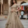 Embellished Lehenga Set
