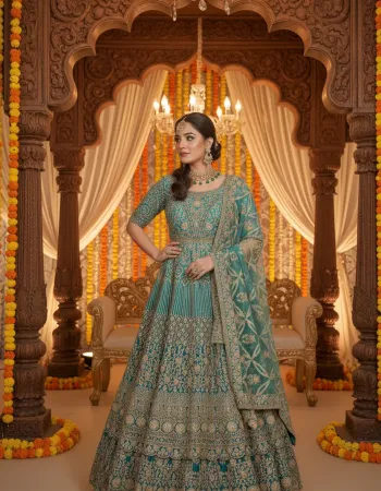 Zari Embroidered Semi Material Gown