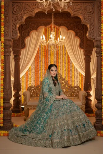 Zari Embroidered Semi Material Gown