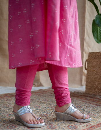 THE INDIAN ETHNIC CO