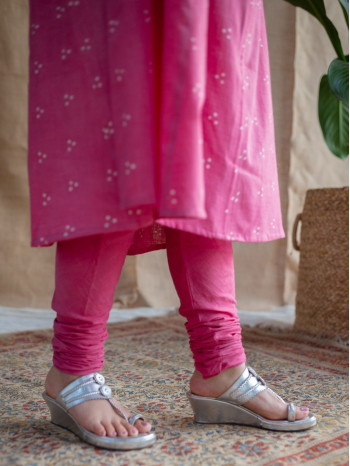 THE INDIAN ETHNIC CO